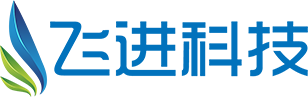 广州飞进信息科技有限公司